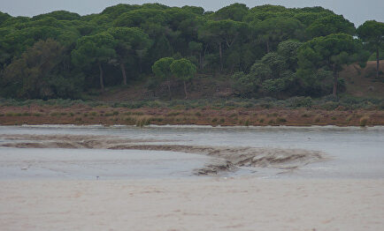 Países y grandes compañías invierten en la compra de agua a nivel mundial