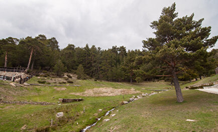 El parque de Guadarrama | C.Jordá