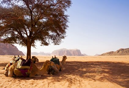El desierto de Wadi Rum | Archivo