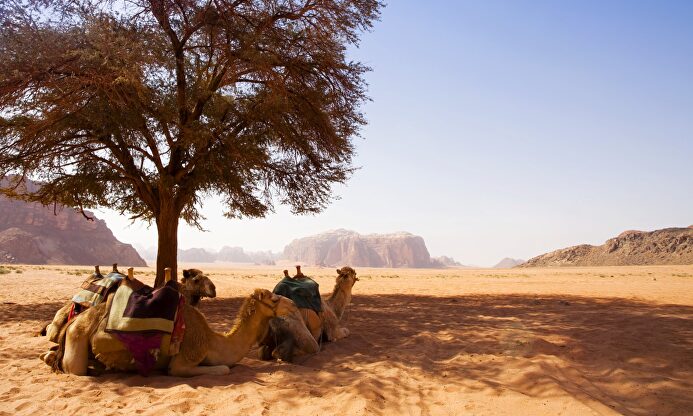El desierto de Wadi Rum | Archivo