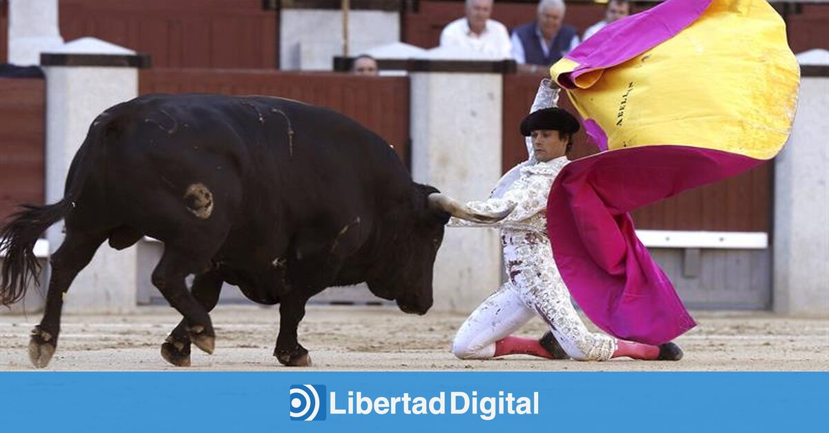 Miguel Abellán Del toro no sólo viven toreros y ganaderos Libertad