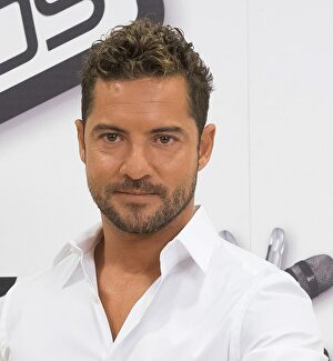 david bisbal prostitutas prostitutas en venecia david bisbal prostitutas prostitutas en venecia