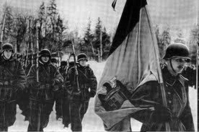 division250.jpg