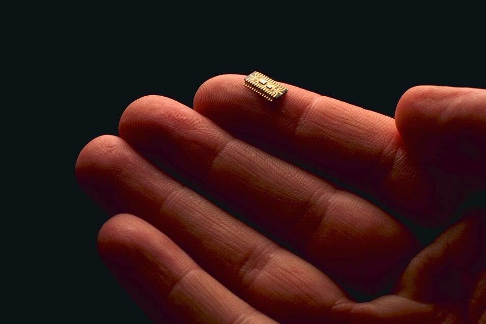 Los chips llegan a las empresas una tecnológica los implantará a sus