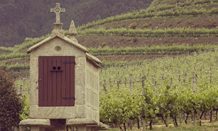 El espumoso gallego, basado en la uva del albariño, sigue creciendo