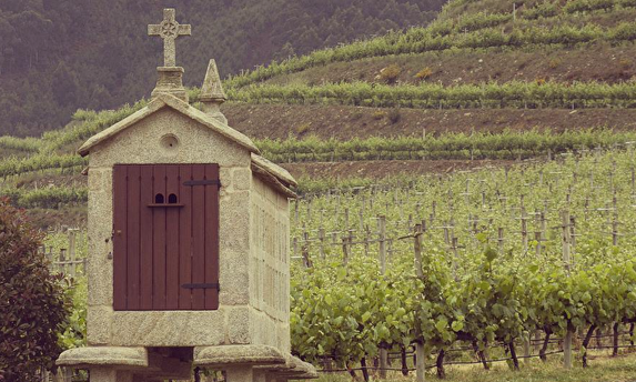 El espumoso gallego, basado en la uva del albariño, sigue creciendo