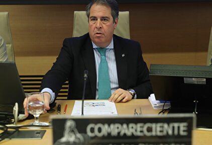 El director general de la DGT, Gregorio Serrano, este lunes en el Congreso. | EFE