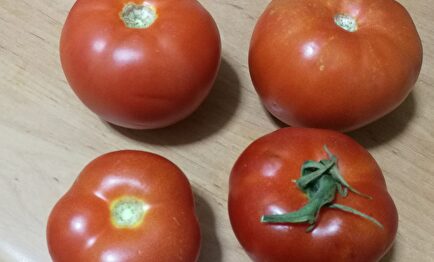 La controversia por los tomates | LD