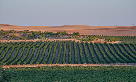 Tres secretos en el corazón de Castilla-La Mancha... y a tiro de piedra de Madrid
