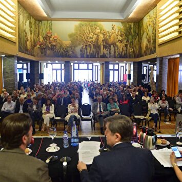 Aspecto que presentaba el patio de butacas del Real Casino de Tenerife a primera hora de la mañana |  LD/D. Alonso
