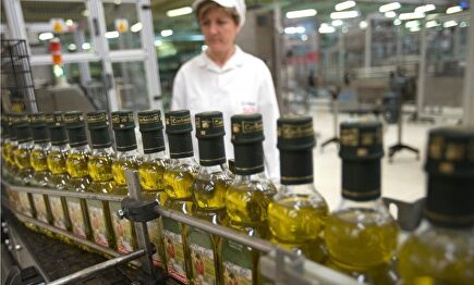 Fábrica de Carbonell. | Deoleo