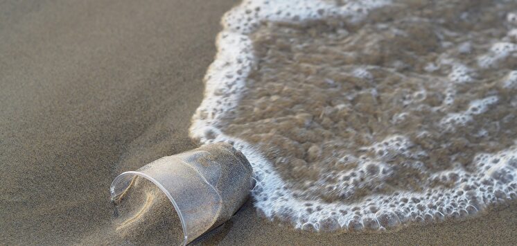 Hay doce millones de toneladas de plástico en el mar. | Pixabay/CC/flockine