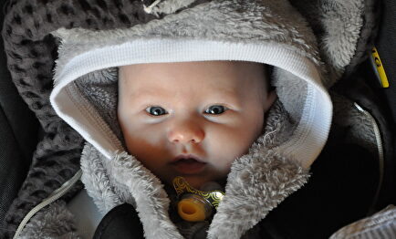¿Cómo acertar al comprar una silla de bebé para el coche? | Flickr/CC/timvanlooy