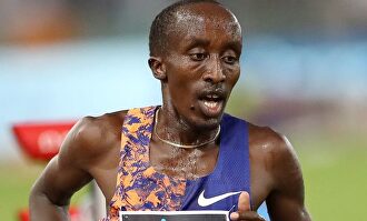 Pingua, la perla de ¿17 años? | AGENCIAS