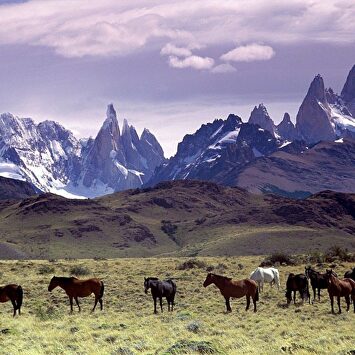Eco camp Patagonia