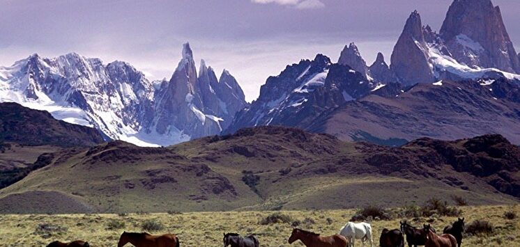 Eco camp Patagonia