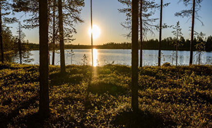 Laponia: un viaje al fin del mundo para ver el Sol de Medianoche