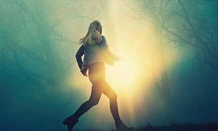 Detalle de la portada 'Él dice, ella dice'. | Harper Collins