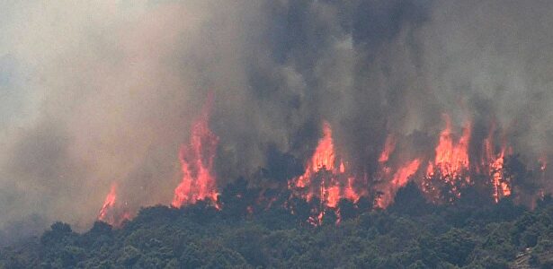 Incendio declarado en el municipio de Almorox en Toledo este sábado. | EFE