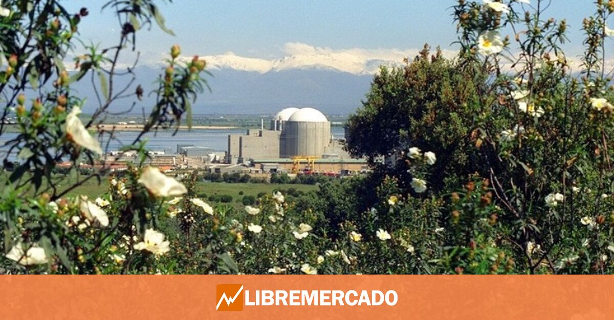 Las Centrales Nucleares Que Quedan En Espa A Libre Mercado