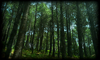 Planes que hacer en el valle del Tiétar