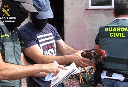 Momento en el que los agentes de la Guardia Civil desmantelan una organización dedicada a la pelea de gallos | Ministerio del Interior