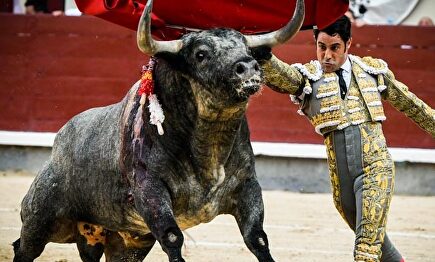 Pase de pecho de Marc Serrano a un toro de Partido de Resina. | Plaza 1