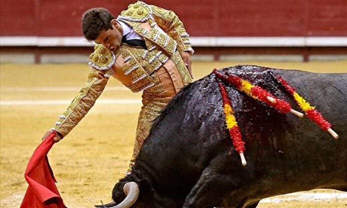 Rubén Pinar toreando a un | EFE