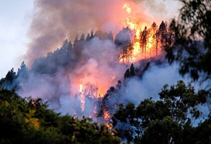 Un dispositivo de emergencia trabaja en la extinción de un incendio en el municipio de grancanario de Valleseco. | EFE