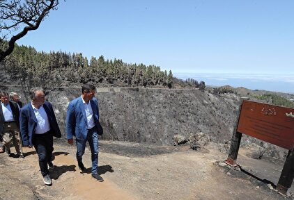 Pedro Sánchez en la zona del incendio | EFE