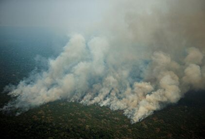 Vista aérea de varias columnas de humo en la selva amazónica de Porto Velho, Rondonia (Brasil) | EFE