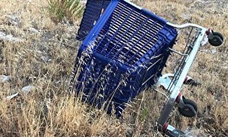 Un carro vandalizado en Vallecas | @asociacion_eve