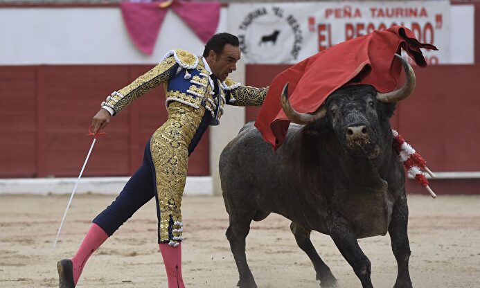 Manuel Jesús 'El Cid' con el toro 'Baratero' de Adolfo Martín en Colmenar Viejo. | Circuitos taurinos
