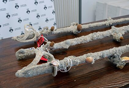 Presentación de once sables del primer tercio del siglo XIX hallados en Formentera | EFE