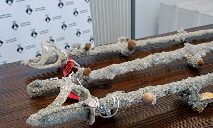 Presentación de once sables del primer tercio del siglo XIX hallados en Formentera | EFE