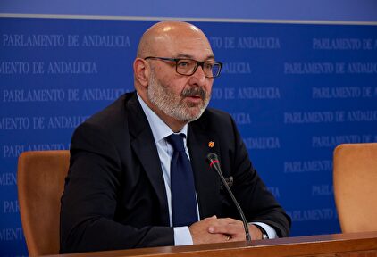 Alejandro Hernández, portavoz de Vox en el parlamento andaluz. | Vox