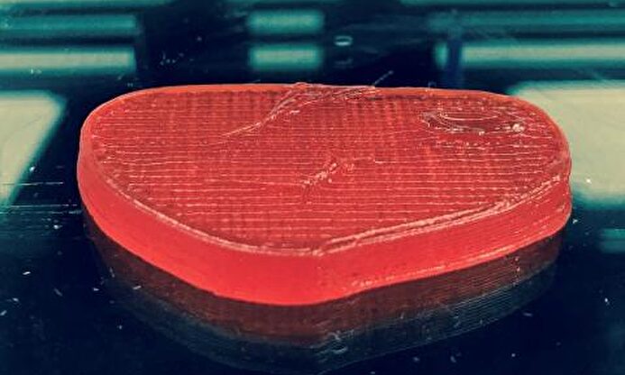 Carne impresa | Beyond Meat