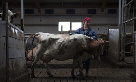 The County | Karma Films