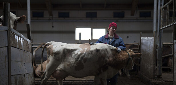 The County | Karma Films