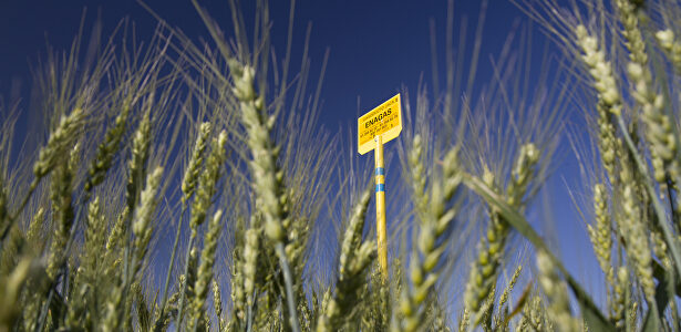 Gas renovable | Cordon Press