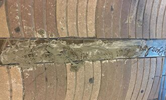 La placa embadurnada con cemento | LD