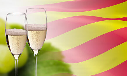 Se aviva la guerra del cava | LD