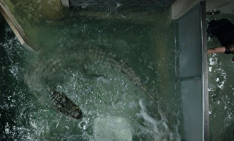 Imagen de Infierno bajo el agua | Paramount