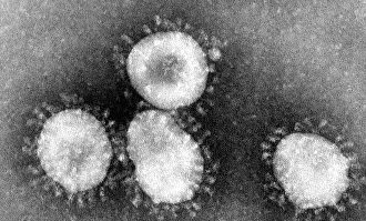 Imagen del virus Coronavirus. | Wikipedia
