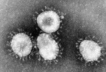 Imagen del virus Coronavirus. | Wikipedia