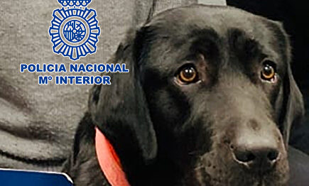 La perra Pocahontas | Policía Nacional