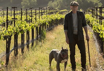 'Picard', la serie de Star Trek si no te gusta Star Trek (pero que es casi excelente)