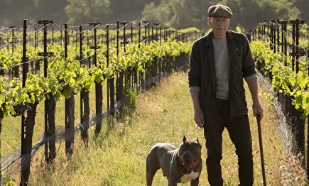 'Picard', la serie de Star Trek si no te gusta Star Trek (pero que es casi excelente)