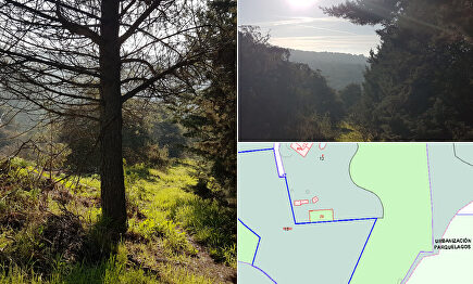 Libertad Digital | Libertad Digital