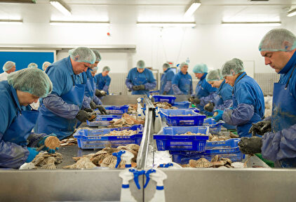 Trabajadores en una fábrica | Alamy